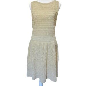 Ralph Lauren Smocked Slip Dress Women's M Sleeveless Shimmery Knit